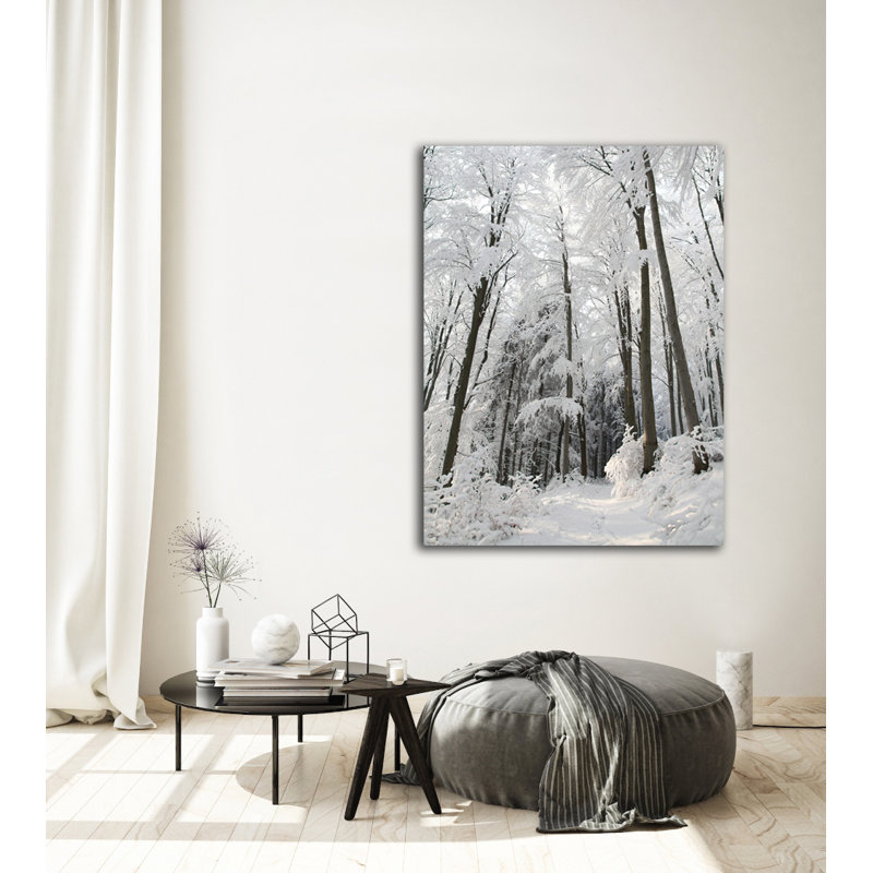 " Snowy Path ", 16" H x 20" W x 1" D