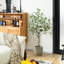 Arbre d'eucalyptus artificiel Adcock-1417930759-1417930758