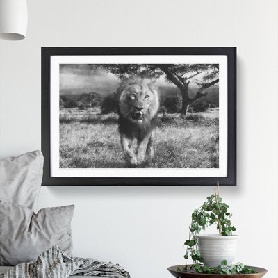 Lion Vol.5 - Picture Frame Graphic Art