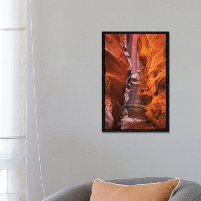 Buckskin Gulch IV by Alan Majchrowicz - Print on Canvas