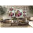 " Echeveria Burgandy "-1072428653