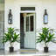 Akmal Faux Plant-1694493990