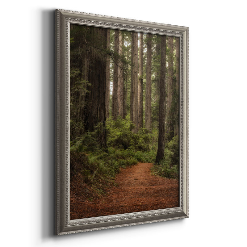 Forest Path II - reproduction d'art sur toile, H 20 po x l 16 po x P 2,5 po