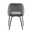 Apperson Velvet Dining Chair With Steel Legs-253975568
