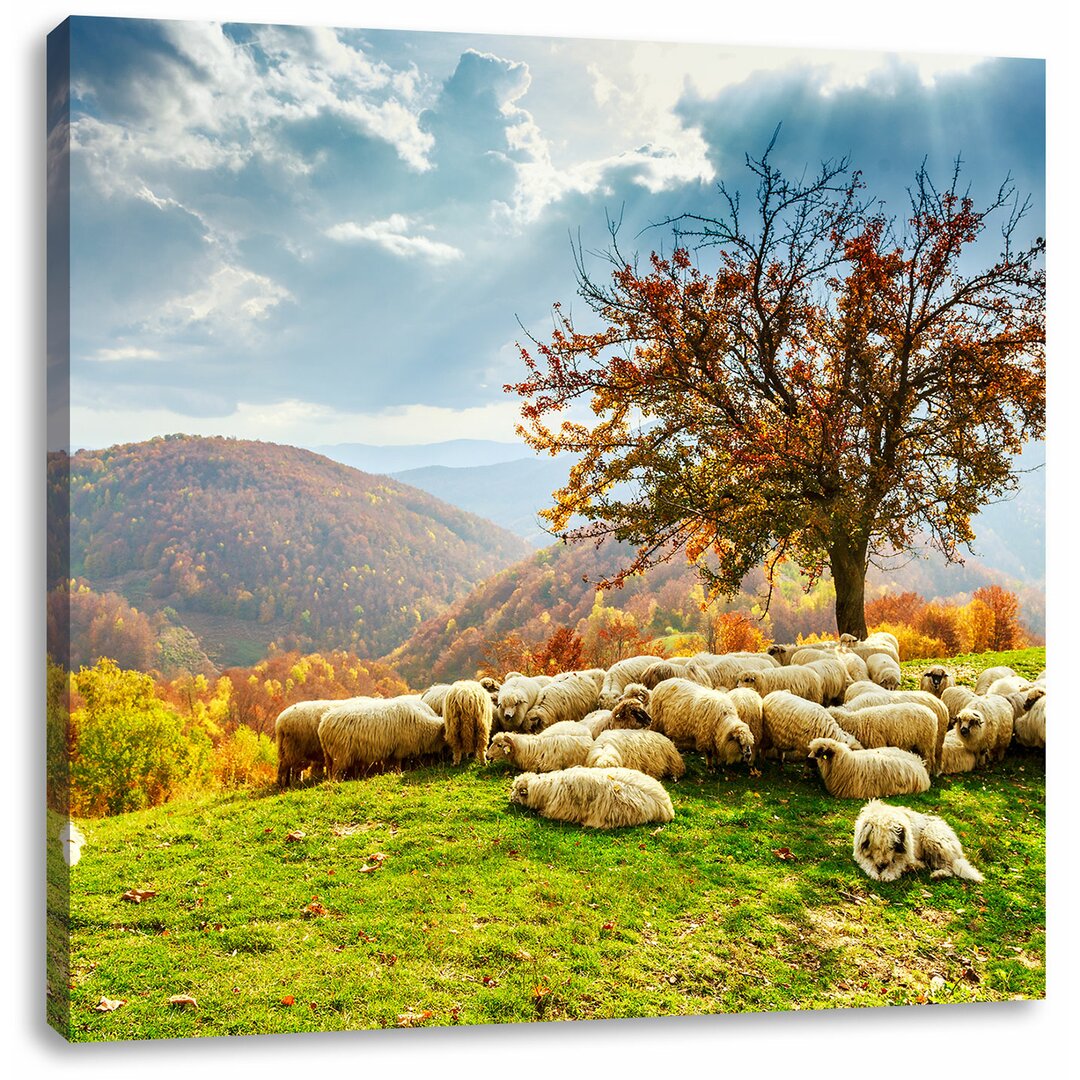 Leinwandbild Romanian Carpathians Gebirge im Herbst