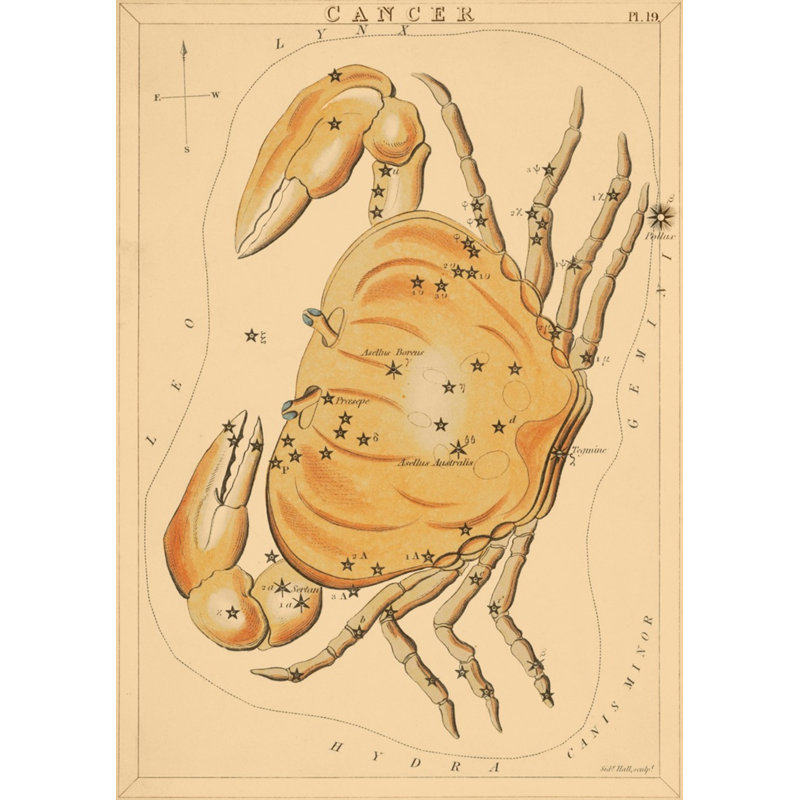 Cancer Print by Grand Archives, Black Framed, 32" H x 23" W