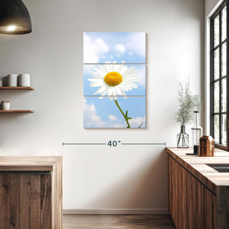 Marguerite blanche contre ciel nuageux, H 38 po x l 24 po
