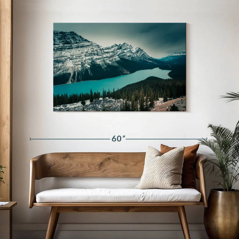 Alvord Peyto Lake, H 30 po x l 45 po