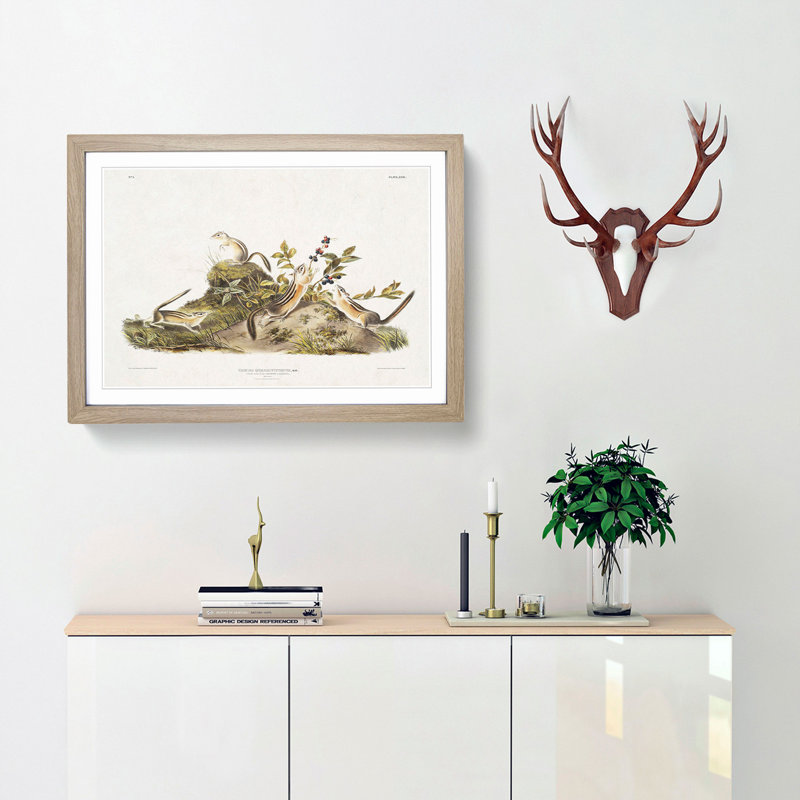 Four-Striped Ground Squirrels by J.W. Audubon - Picture Frame Painting Print, 27cm H x 36cm W x 2cm D, Oak Framed