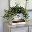 Karas Faux Tradescantia Plant in Ceramic Vase-222524196-239686848