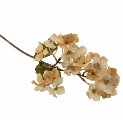 Arrangement