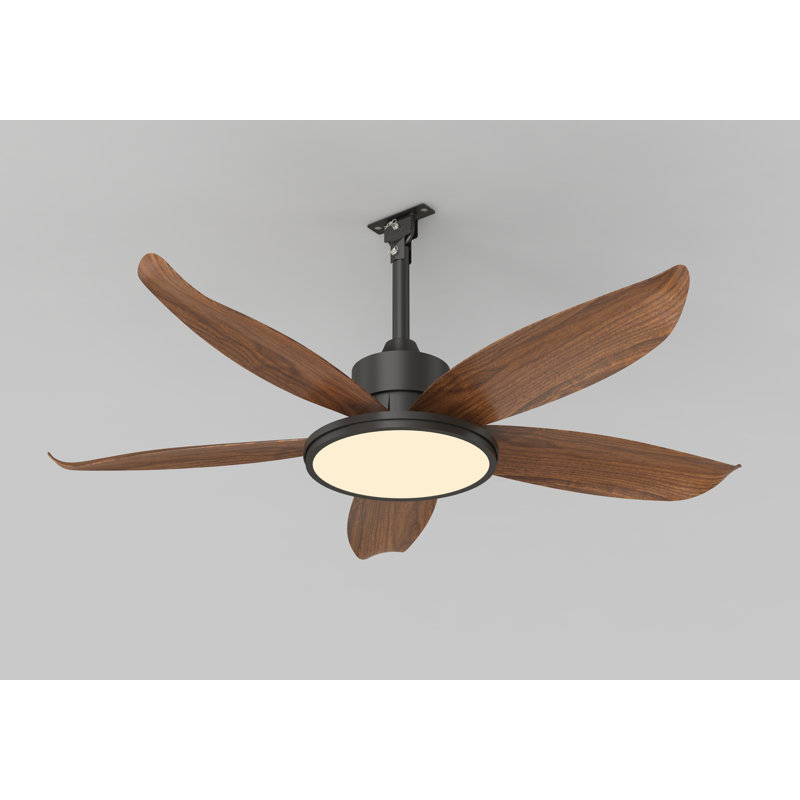Ensemble d'éclairage pour ventilateur de plafond extérieur de 42 pouces avec télécommande