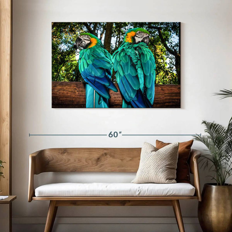 Brampt Macaw Parrots, 30" H x 45" W