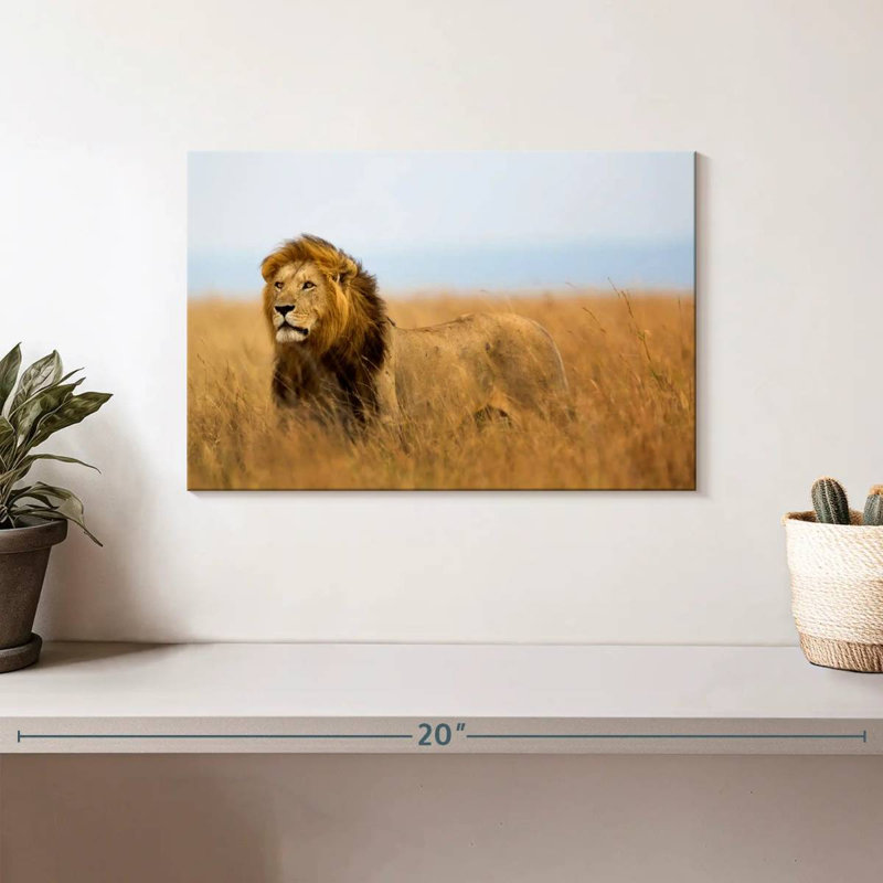 Lion chassant en safari, H 8 po x l 12 po