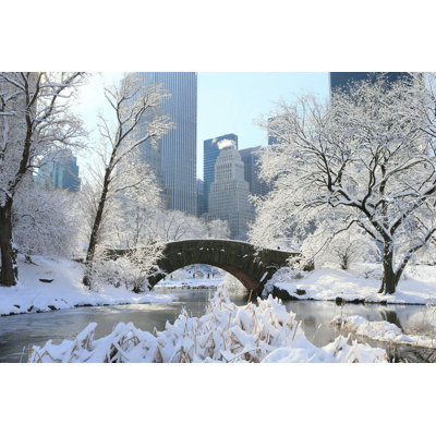 " Central Park In Snow "