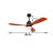 Carolee Ceiling Fan with LED Lights