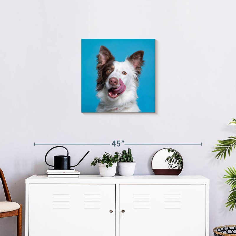 Crowle Charming Pooch, 20" H x 20" W