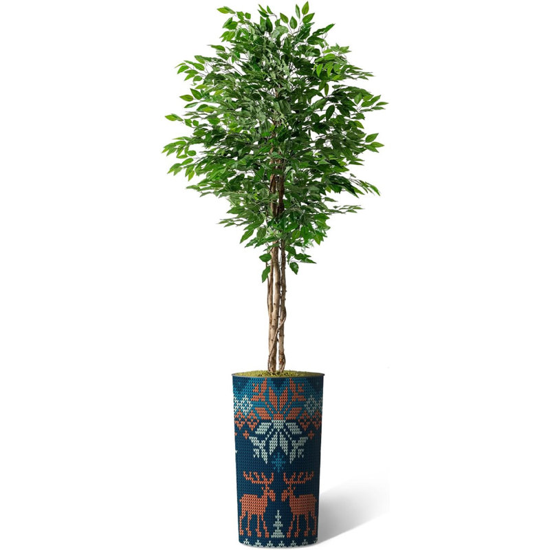 75 plantes, Orignal bleu marine