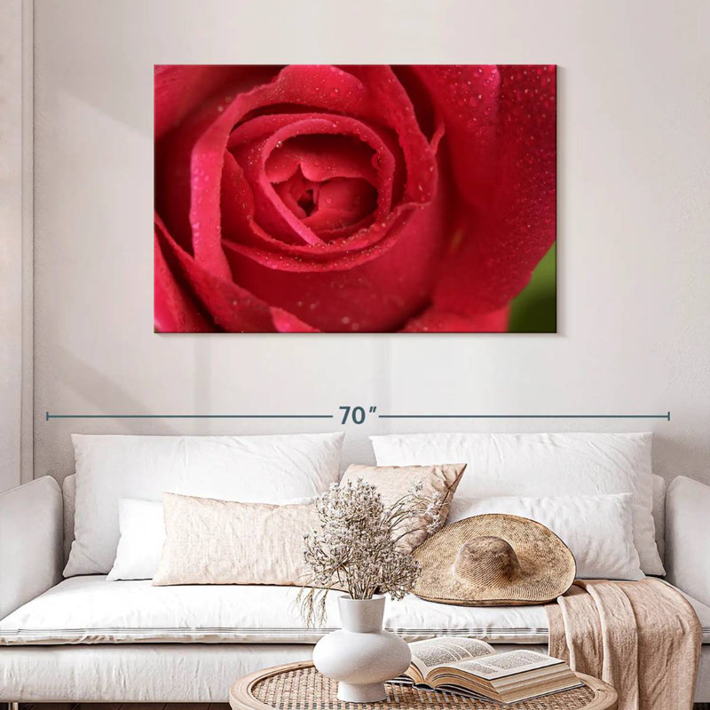 Floraison de la rose rouge