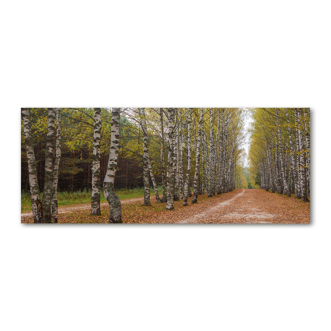 Avenue of Birches - Kunstdrucke