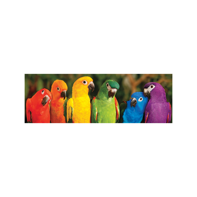 Rainbow Parrots by Mike Jones - Wrapped Canvas Panoramic Print, 182.88 cm H x 60.96 cm W