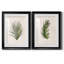 Palm Botanical I - ensemble de 2 impressions-1280204973-1280204983-1211584034