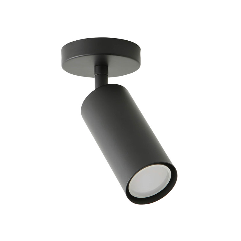 Taylor  Tube Single Adjustable Ceiling Spotlight, Black, 1