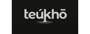 Logo Teúkhō