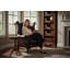High Back Chesterfield Upholstered Wingback Chair-1502440869