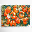 Fruit, persimmon, art mural sur toile vert-1252403267