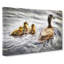 Ducklings with Mother Duck - Wrapped Canvas-55313381