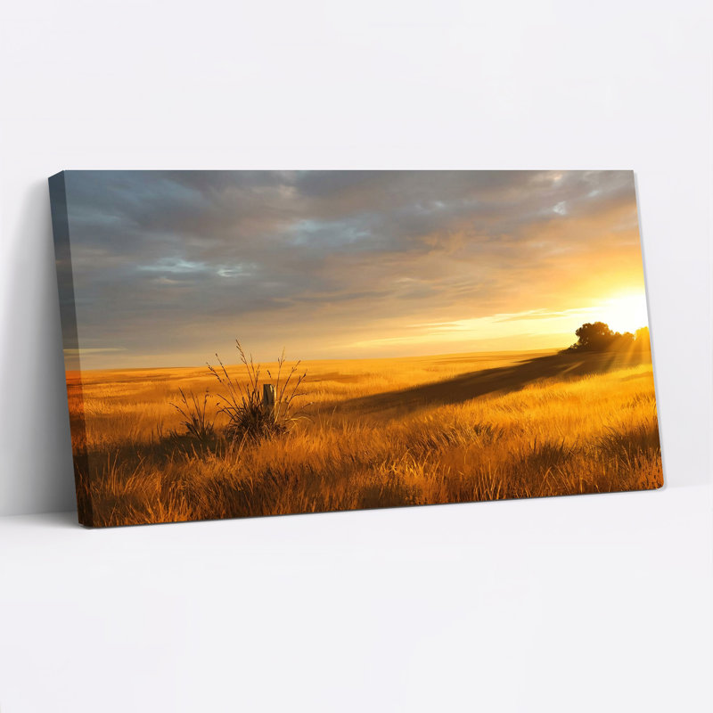 «Golden Wheat Field Sunset», art mural sur toile, 40“W x 20”H