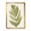 « simple forest iv »-reproduction d’image sur toile-48300443-48300445
