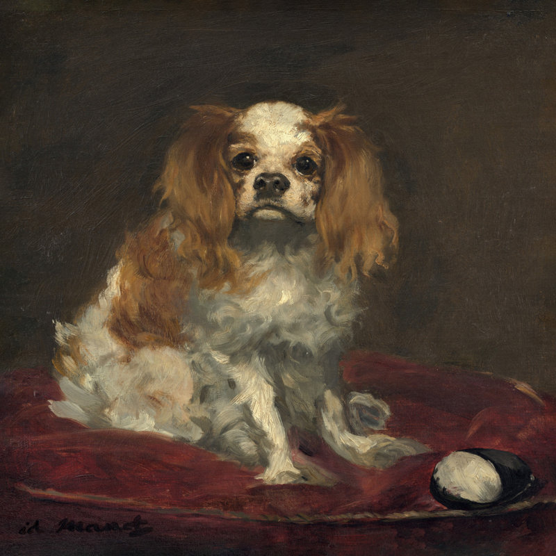 "A King Charles Spaniel", reproduction sur toile tendue, H 12 po x l 12 po