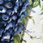 Tapisserie murale «Fruit Blueberry Wild»-133645827