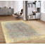 Vintage Hand Knotted Wool Oriental Area Rug in Beige/Light Blue/Red