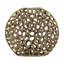 Vase Reef - Grand-503999657