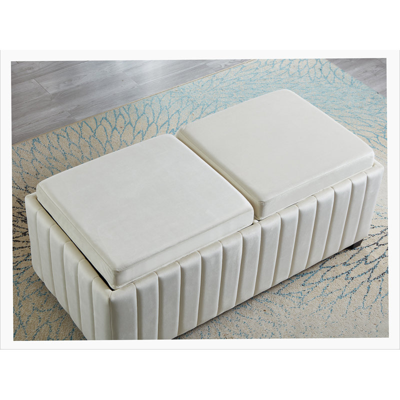 Banc de rangement 45 po CubeStorage