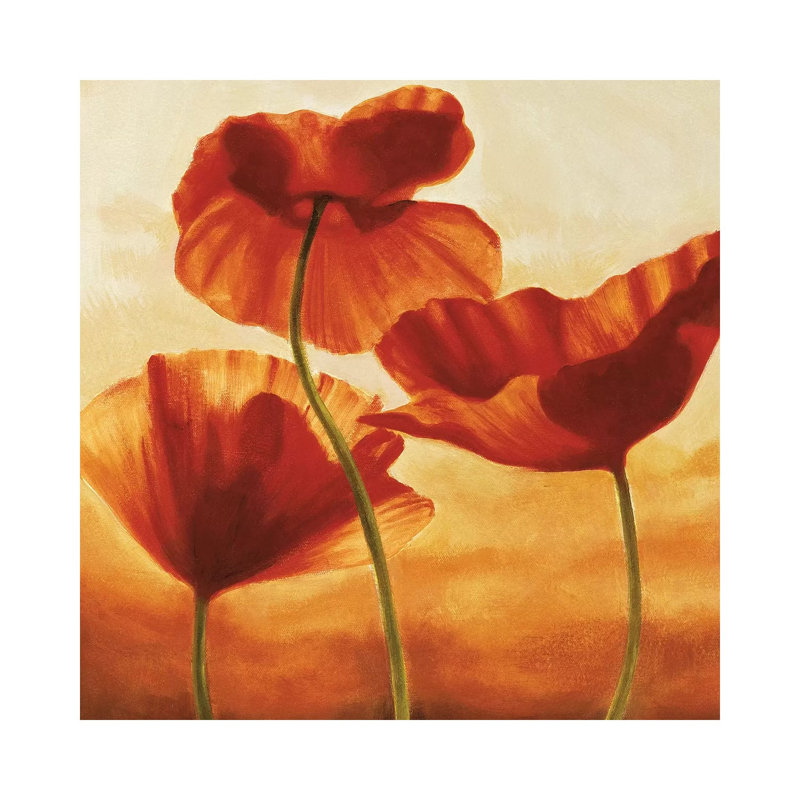 Poppies In Sunlight II by Andrea Kahn - Wrapped Canvas Print, 30.48 cm H x 30.48 cm W