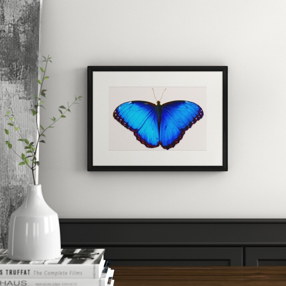 Gerahmtes Poster Schmetterling-Serie 44