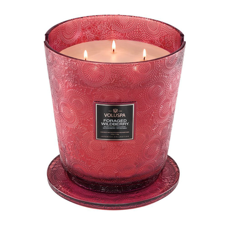 Foraged Wildberry 5 Wick Hearth Candle