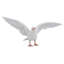 AILES DE PIGEON-1073083668
