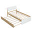 Cadre de lit simple moderne pour tête et pied de lit blanc brillant avec couchette en chêne clair