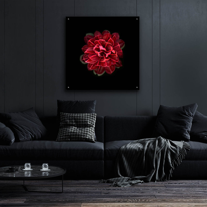 " In Red " by PhotoINC Studio, 36" H x 36" W x 0.2" D