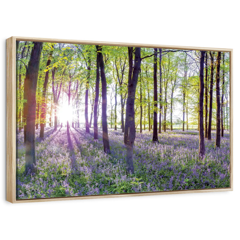 Bluebells and sunrise, 25 po x 17 po, Cadre flottant en bois naturel