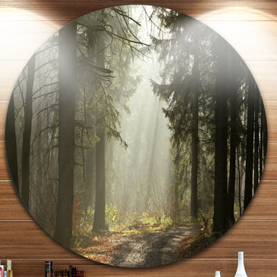 " Dark Green Forest With Sun Rays "