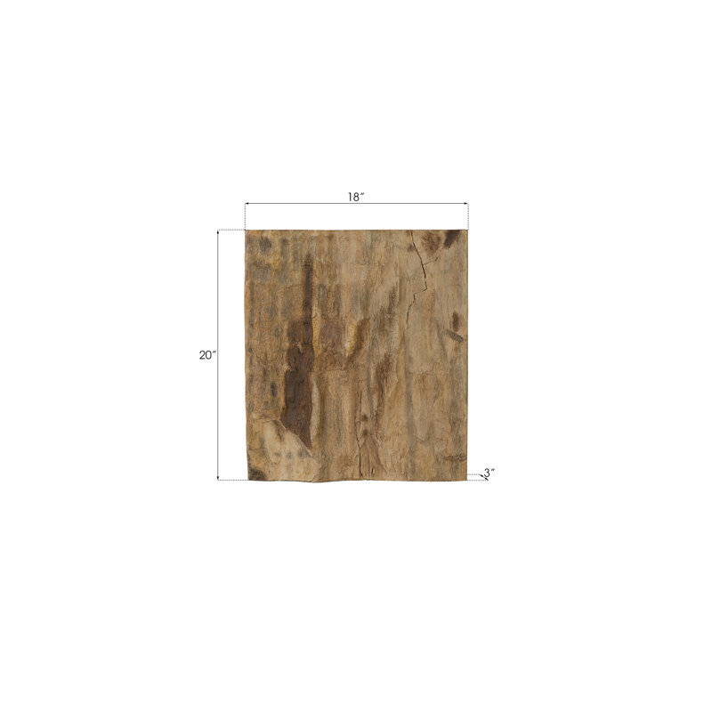 Décoration murale en bois pétrifié Cast Naturals