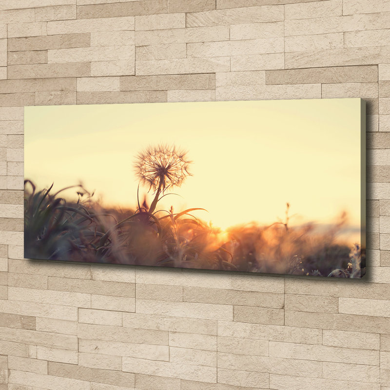 Dandelion - Wrapped Canvas Print