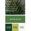 Art mural en métal Botanical Tree Fern-293369284