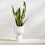 Iittala Nappula Porcelain Urn Planter-66025538-66025540